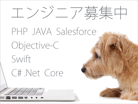 iOS C# PHP 求人情報・採用情報