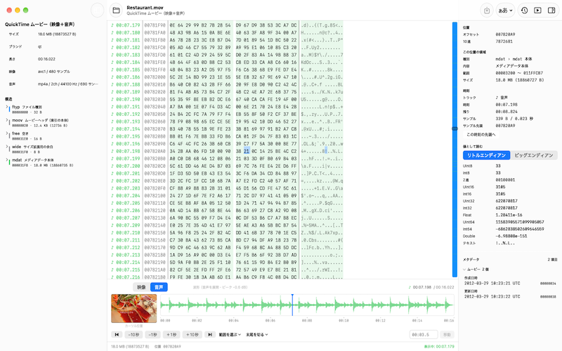 Hextageのメイン画面。左に構造ツリー、中央に再生時刻つきの16進ダンプ、下に波形、右に位置と値の詳細