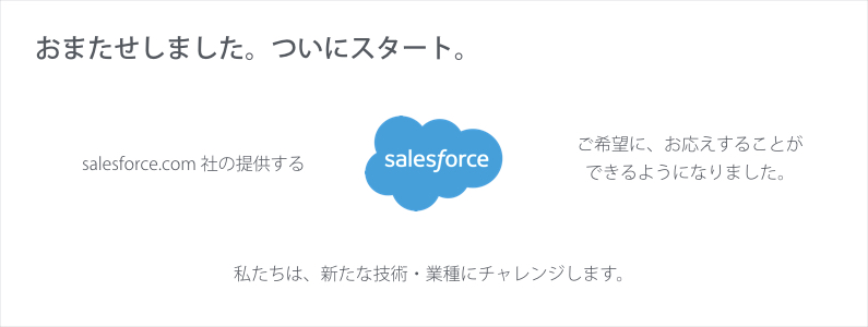 Salesforce 開発支援